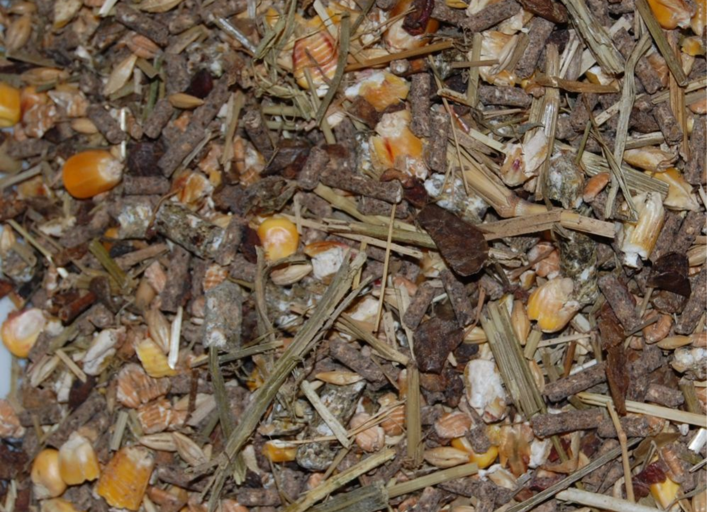 Foderblandinger hjortevildt