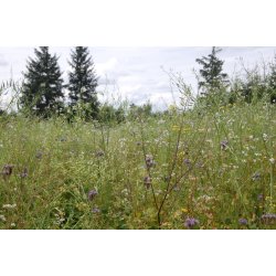 Universal Vildtagerblanding  - flerrig 10 kg .