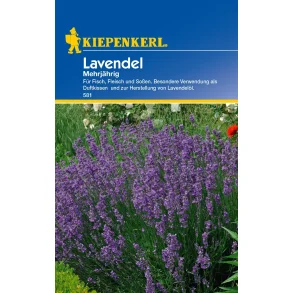 Lavendel flerrig 100 planter
