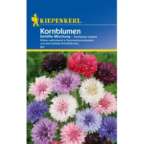 Kornblomster 50 planter 70 cm hje