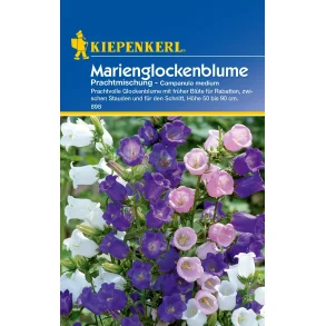 Klokkeblomst 50- 90 cm hje 50 planter