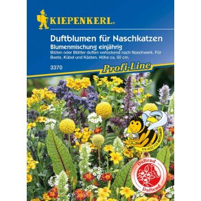 duftblomster enrig 50 planter