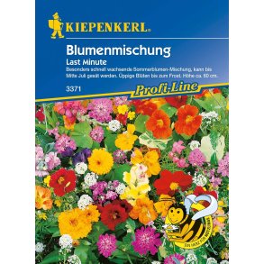 Last Minute Blomsterblanding enrig 4 m2