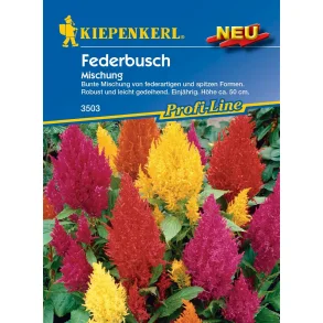 Fjerbusk enrig 50 cm hj 50 planter