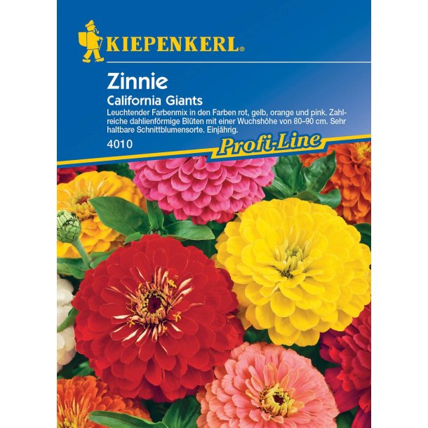 Zinnie store enrig 50 planter