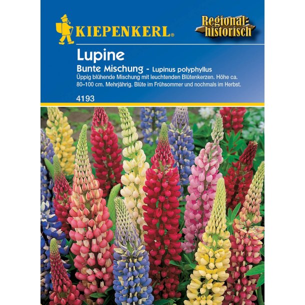 Lupin mix flerårig 20 planter