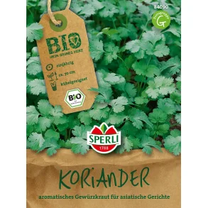 ko Koriander 80 planter