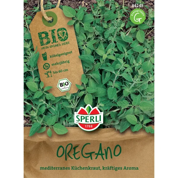 ko Oregano 60 planter