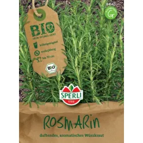ko Rosmarin 20 planter