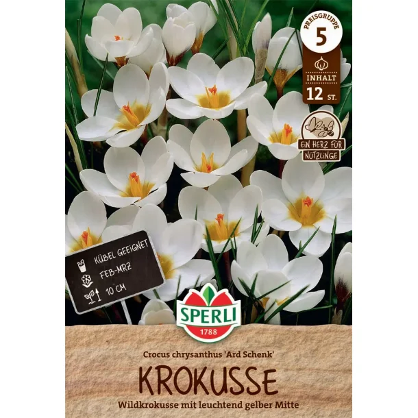 Vilde Krokus Ard Schenk