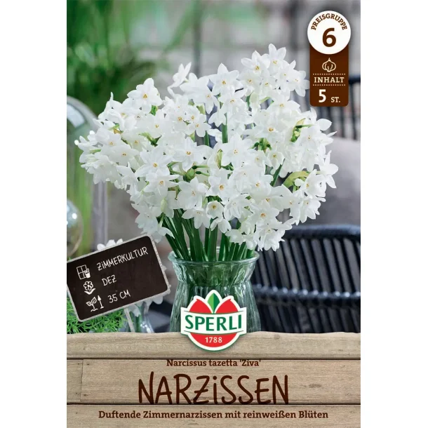 Pskeliljer 5 stk. juleliljen