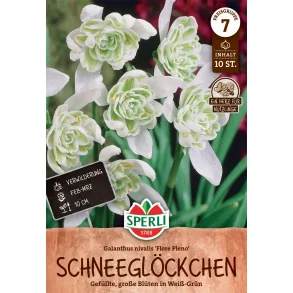 Vintergkker Hvid/grn 10 stk.