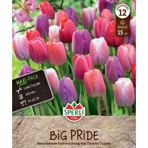 Big Pride Mix 15 stk.