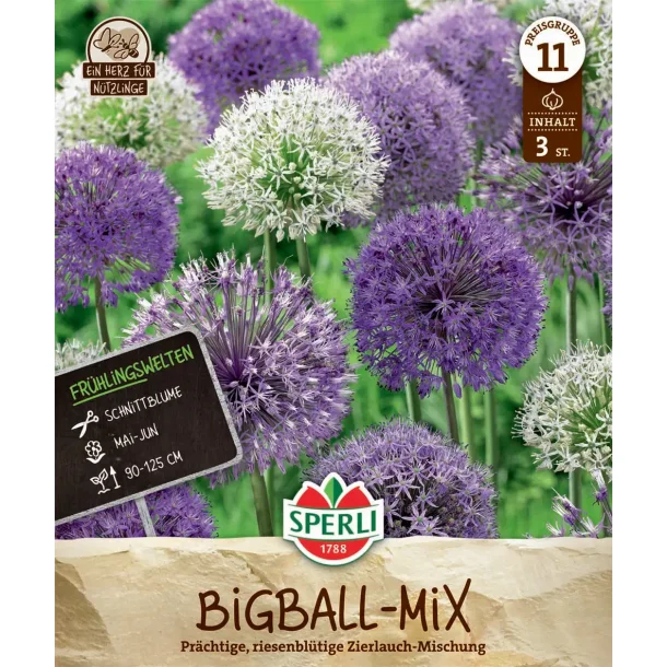 Big Ball mix 90 til 125 cm hje