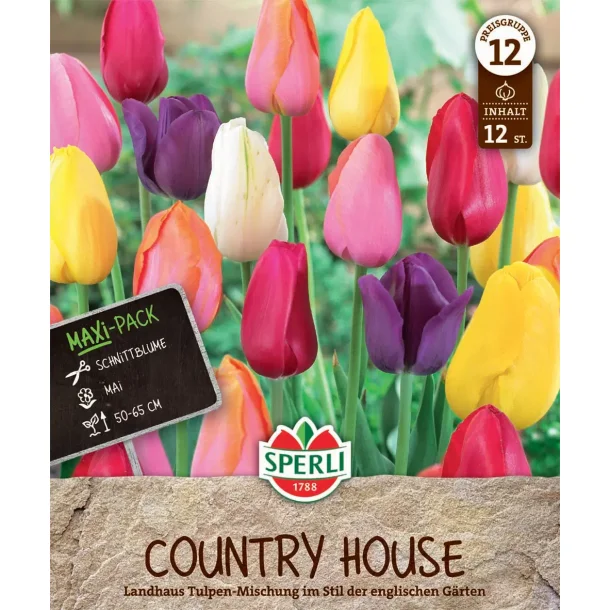 Tulipaner Country House 12 stk.