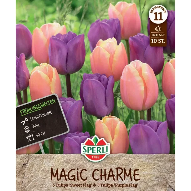 10 stk. tulipaner  Magic Charme