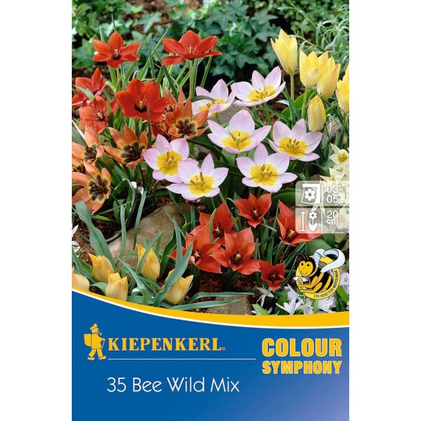 Vilde tulipaner  Bee Wild mix 35 stk.