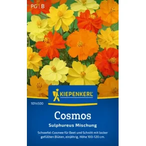 Cosmos enrig 30 planter