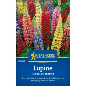Lupin Russel mix  flerrig 20 planter