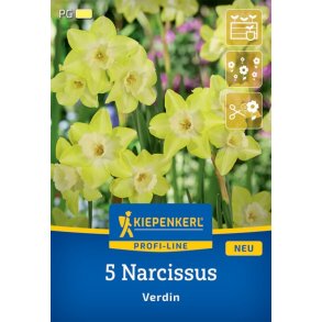 5 stk. pskeliljer Verdin