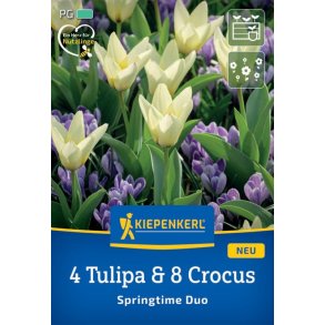 4 tulipaner og 8 krokus
