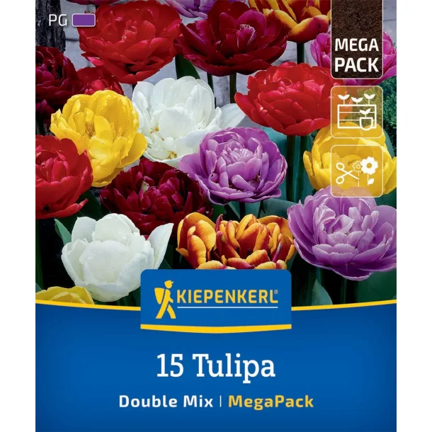 15 tulipaner double mix