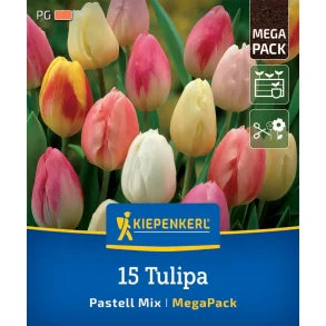 15 tulipaner Pastel mix