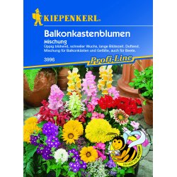 Balkonblomster enrig rkker til 2 m