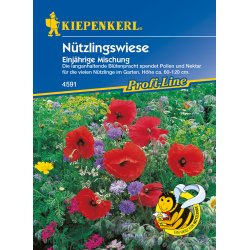 Pollen og nektar eng enrig 4 m2