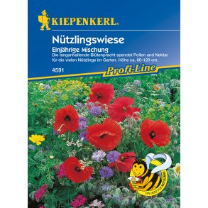 Pollen og nektar eng enrig 4 m2