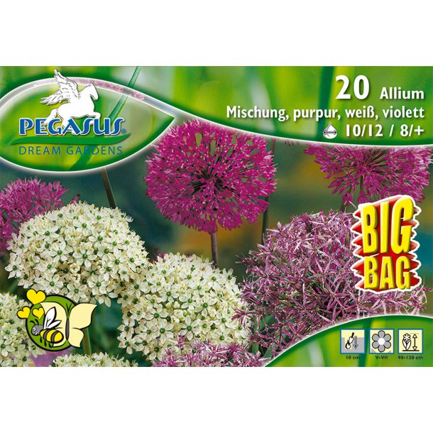 Stor Allium mix  20 stk klik for info