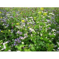 Universal Vildtagerblanding  - flerrig 10 kg .