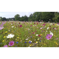Den landlige blomsterblanding  90 til 110 m2 