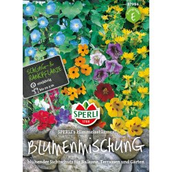 Klatre blanding enrig