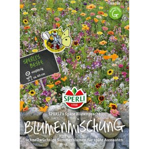Sene blomsterpragt enrig 