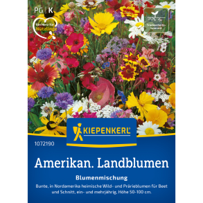 Amerikanske landblomster blanding &ndash; rustik vild sommereng fr� med h�j biodiversitet til bier & sommerfugle