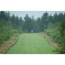 Den hrdfre vildtagerblanding 10 kg  Flerrig