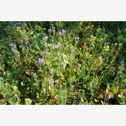 Hjortevildtets livret 10 kg fler�rig    