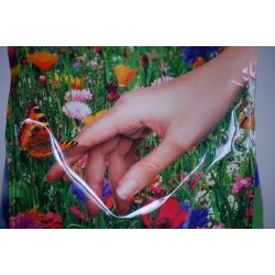 Blomstereng til 25 m2.  250 g.  flerrig  