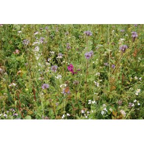 Den h�rdf�re vildtagerblanding 10 kg  Fler�rig