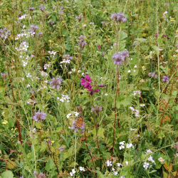 Den h�rdf�re vildtagerblanding 10 kg  Fler�rig