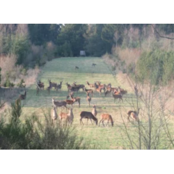 Hjortevildtets livret 10 kg fler�rig    