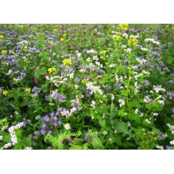 Universal Vildtagerblanding 10 kg fler�rig