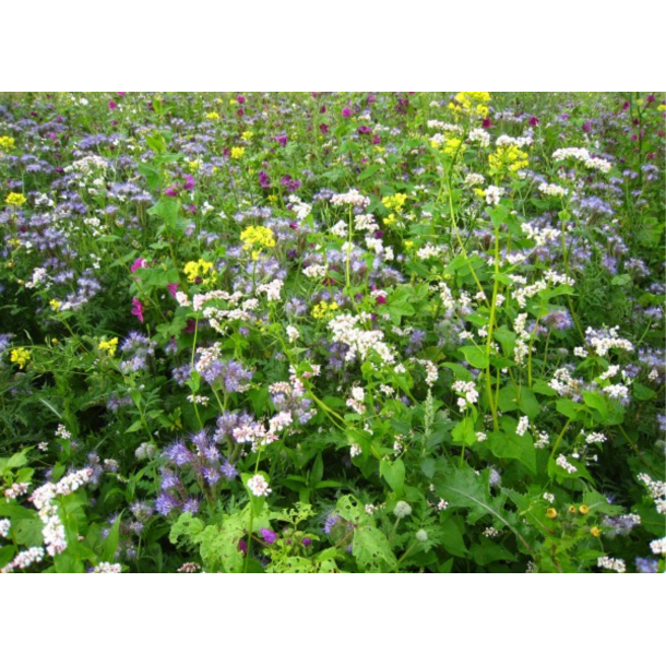 Universal Vildtagerblanding 10 kg fler�rig