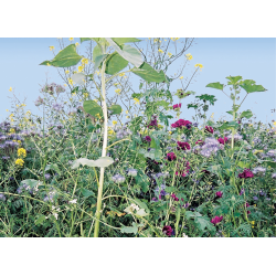 Universal Vildtagerblanding til fugle 10 kg en�rig