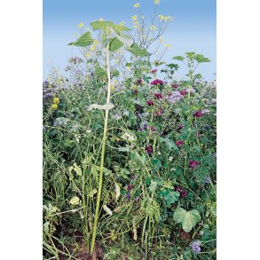 Universal Vildtagerblanding  til fugle - en�rig 10 kg.  