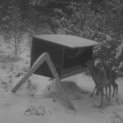 Foderautomat r�dyr, d�dyr og krondyr 325 L.