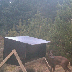 Startpakke d�vildt &amp; kronvildt