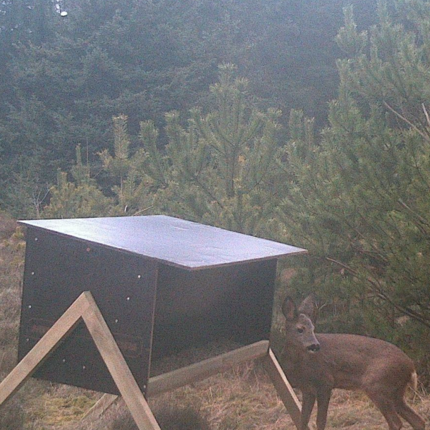 Startpakke d�vildt &amp; kronvildt