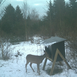 Stor startpakke hel�rsfoder